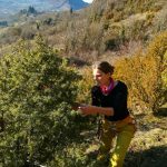 Interview Mélanie Dupuis: Grimpeuse-cueilleuse d’aujourd’hui