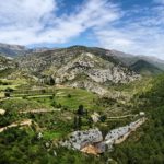 News #4 – Les 2 ans du site des grimpeurs-cueilleurs!