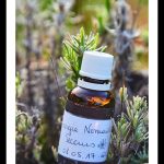 Recette DIY: Solution de Secours aux Huiles Essentielles pour la bobologie quotidienne