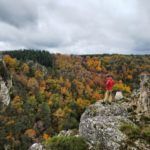 Fiche cueillette: Châtaignier – Castanea sativa