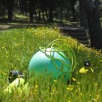 Activité Physique Adaptée et Massage musculaire