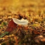 Deuil, témoignage: le massage comme soin de support et soutien émotionnel & corporel